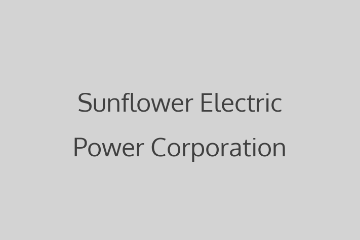 Tech Solutions Company Sunflower Electric Power Corporation