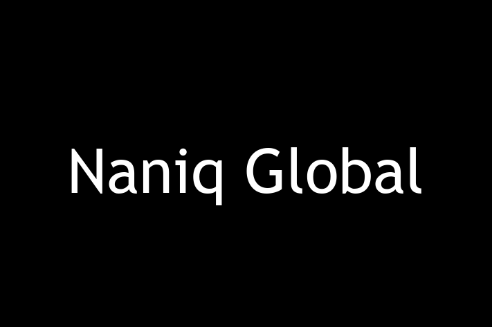 Software Consultancy Naniq Global