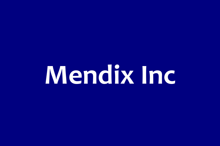 Digital Solutions Provider Mendix Inc