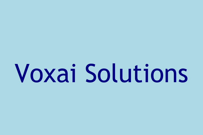 Tech Firm Voxai Solutions