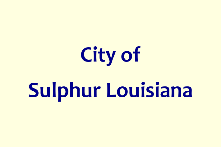 Workforce Management City of Sulphur Louisiana