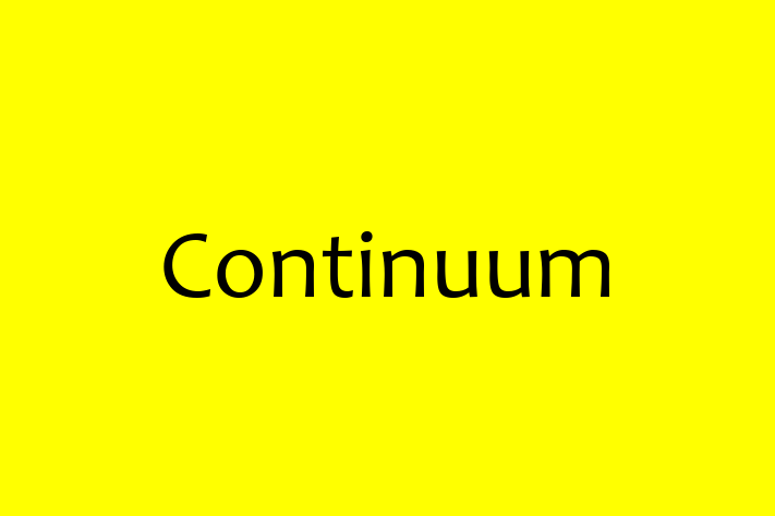 Application Development Company Continuum