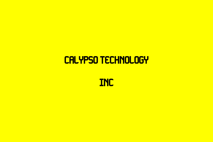 IT Company Calypso Technology Inc