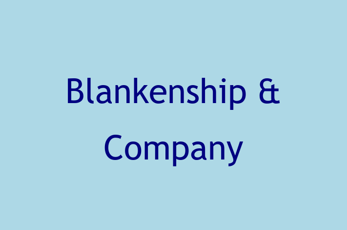 Tax Accountant Blankenship Company