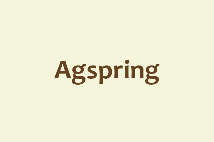 Tech Firm Agspring