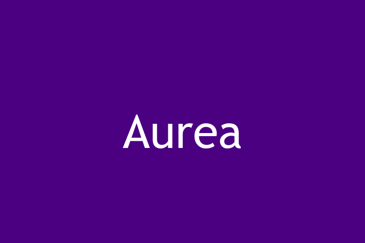 Software Services Company Aurea