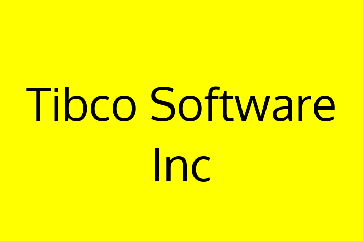 Software Consultancy Tibco Software Inc