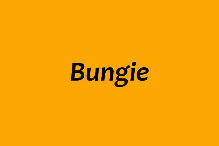 Staff Management Bungie