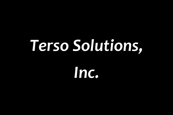 Application Development Company Terso Solutions Inc.