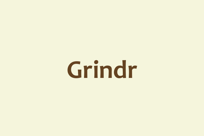 Software Consultancy Grindr