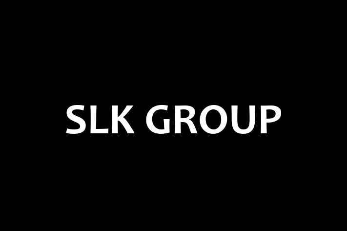 Software Development Firm SLK GROUP