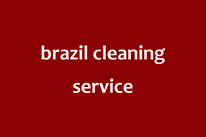 Housekeeping brazil cleaning service