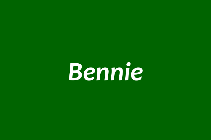 Labor Relations Bennie