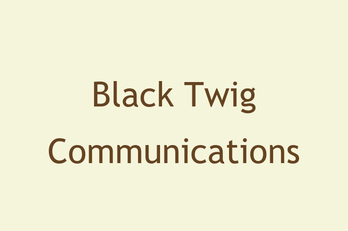 Software Engineering Company Black Twig Communications