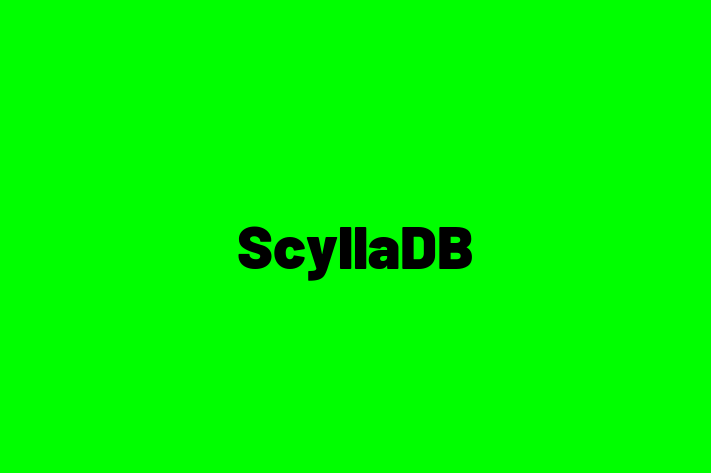 Digital Solutions Provider ScyllaDB