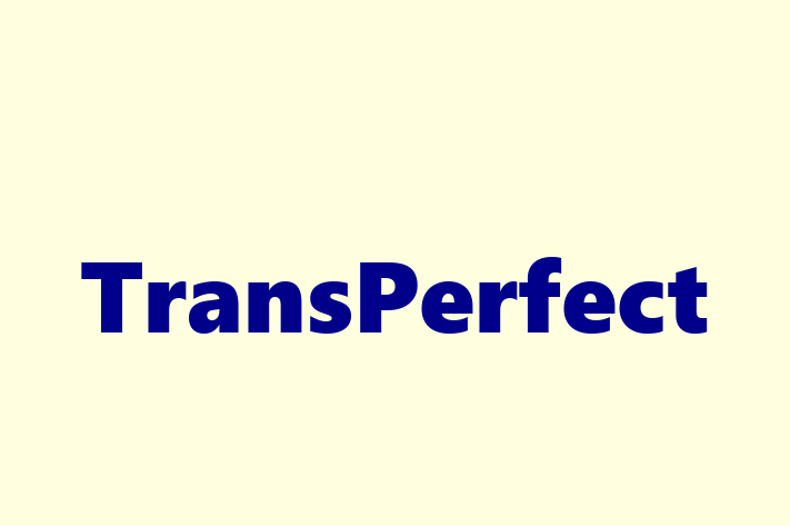 Software Services Company TransPerfect