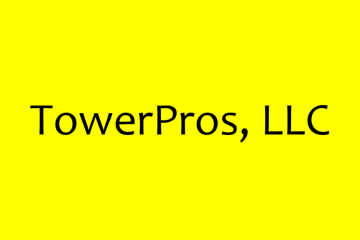 Application Development Company TowerPros LLC