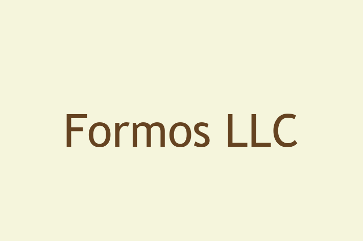 Software Solutions Provider Formos LLC