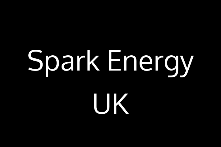 Software Services Company Spark Energy UK