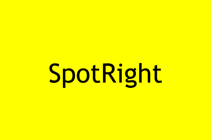 Digital Solutions Provider SpotRight