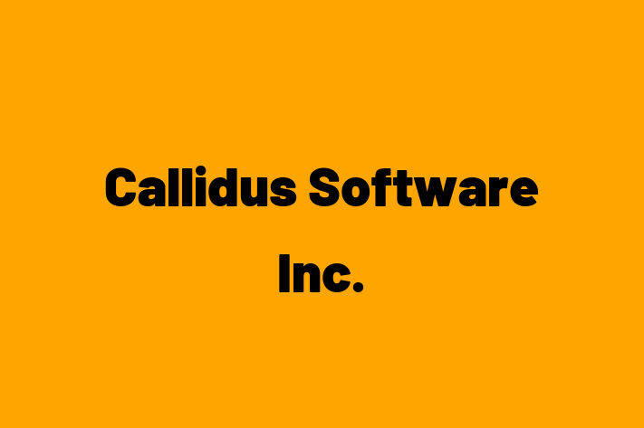 Technology Company Callidus Software Inc.