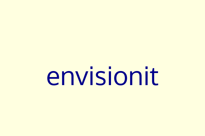 Technology Solutions Firm envisionit