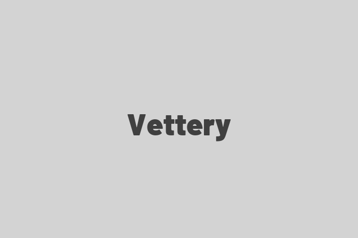 Technology Company Vettery