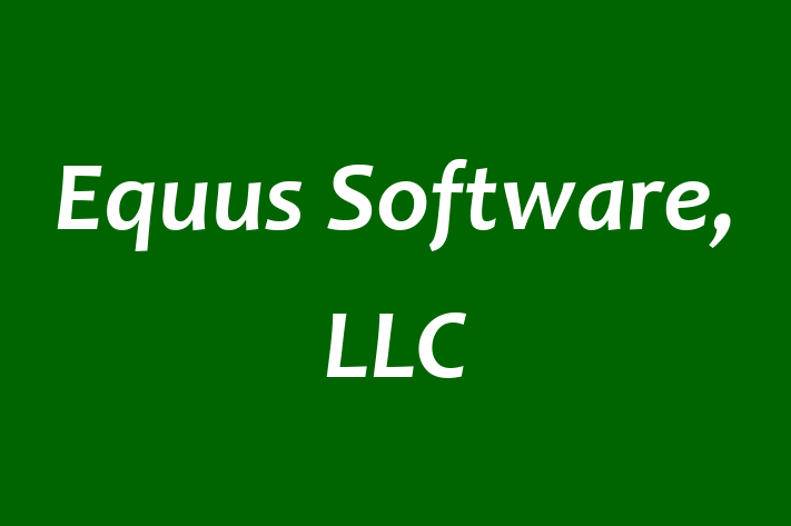 Software Engineering Company Equus Software LLC