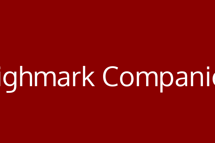 Technology Solutions Firm Highmark Companies