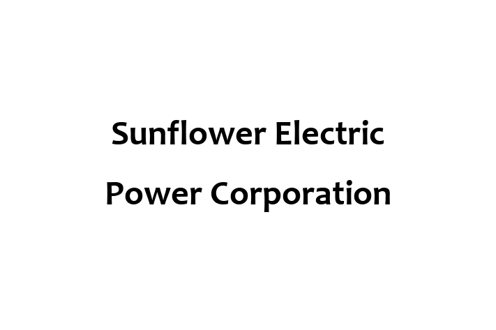 Application Development Company Sunflower Electric Power Corporation