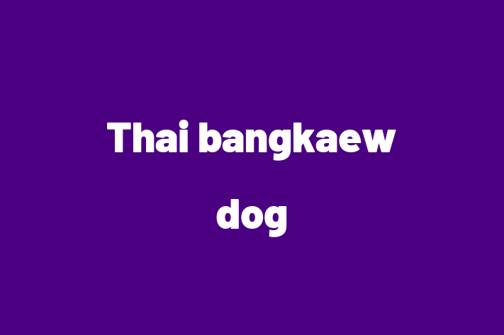 Thai bangkaew dog Dog PuppiesKittens for Sale in Hampton