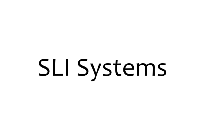 Software Consultancy SLI Systems