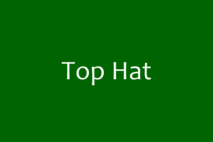 Software Services Company Top Hat