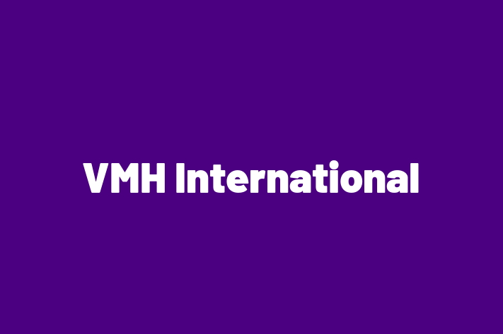 IT Company VMH International