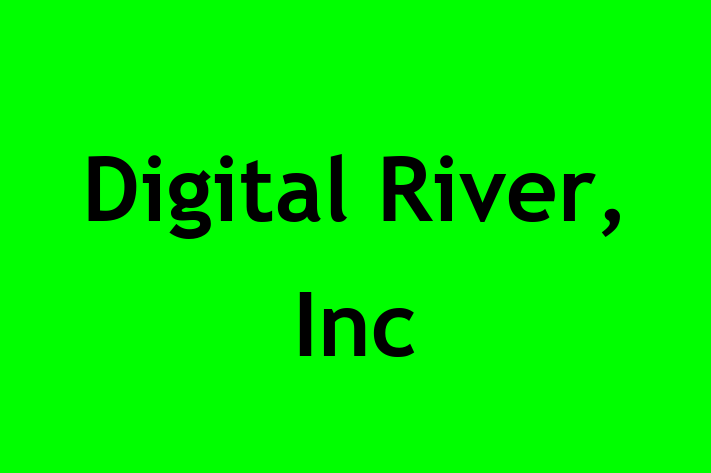 Tech Firm Digital River Inc