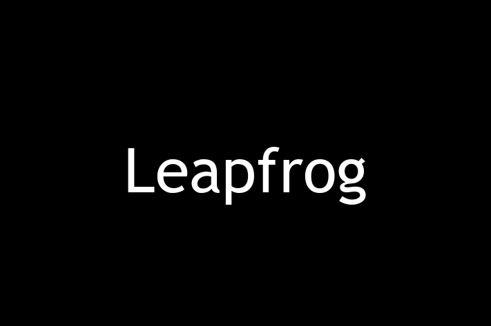 Tech Firm Leapfrog