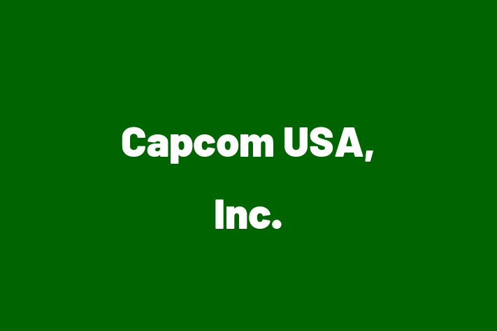 Software Engineering Company Capcom USA Inc.