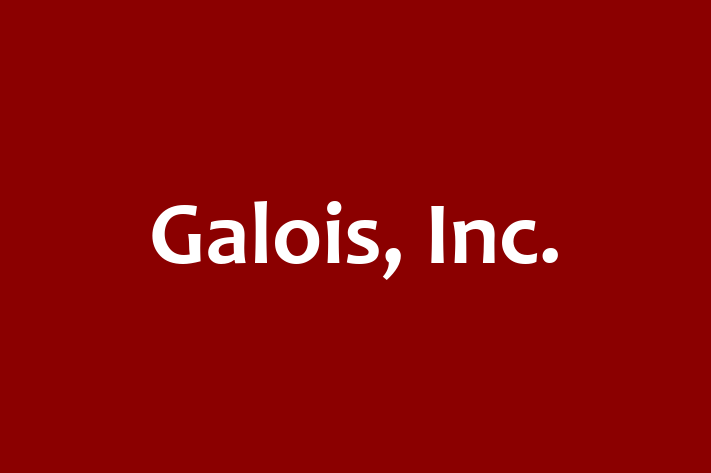 Software Engineering Company Galois Inc.