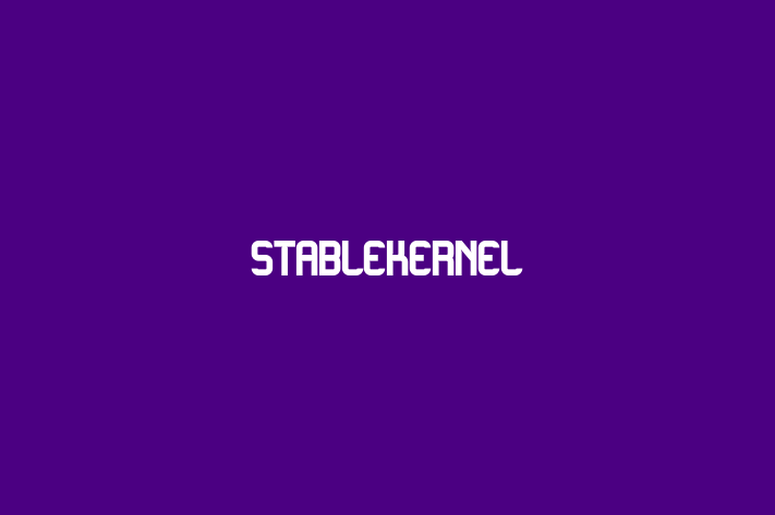 Tech Solutions Company stablekernel