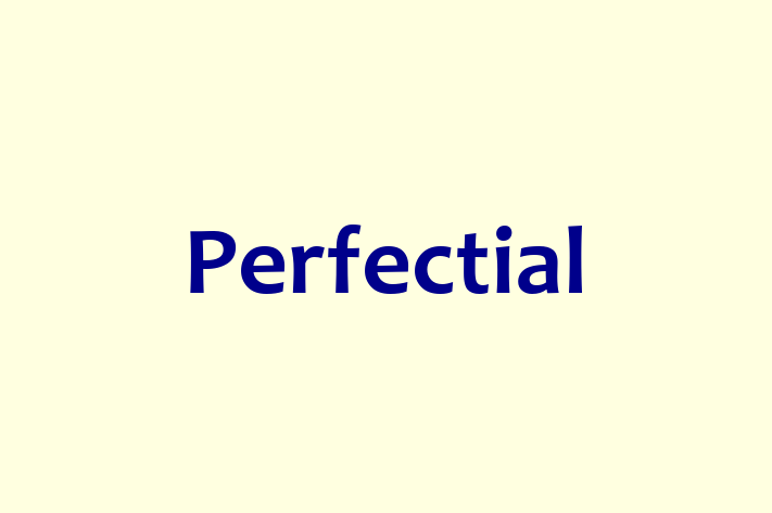 Software Development Firm Perfectial