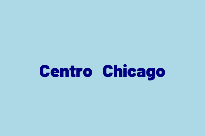 Technology Solutions Firm Centro  Chicago