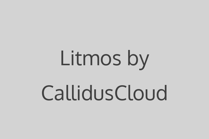 Technology Solutions Firm Litmos by CallidusCloud