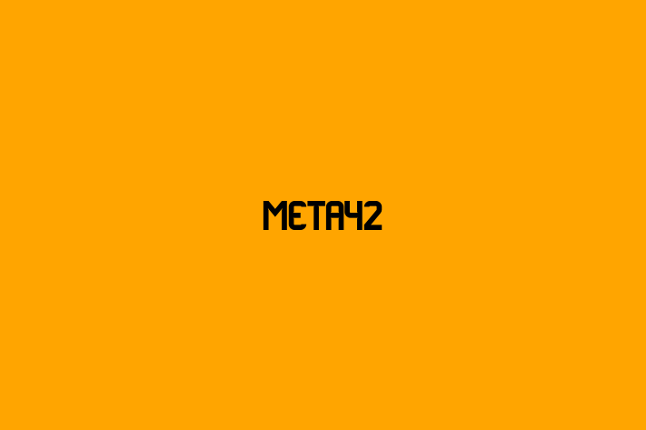 Software Engineering Company Meta42