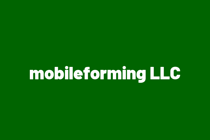 Software Engineering Company mobileforming LLC