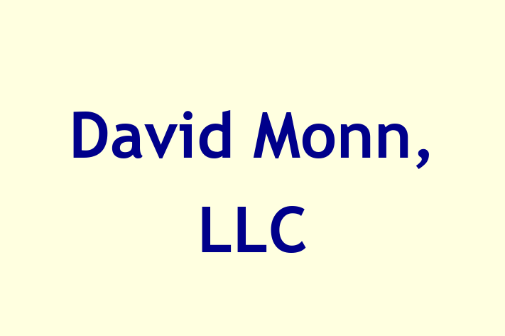 Digital Solutions Provider David Monn LLC