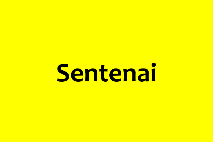 Tech Firm Sentenai