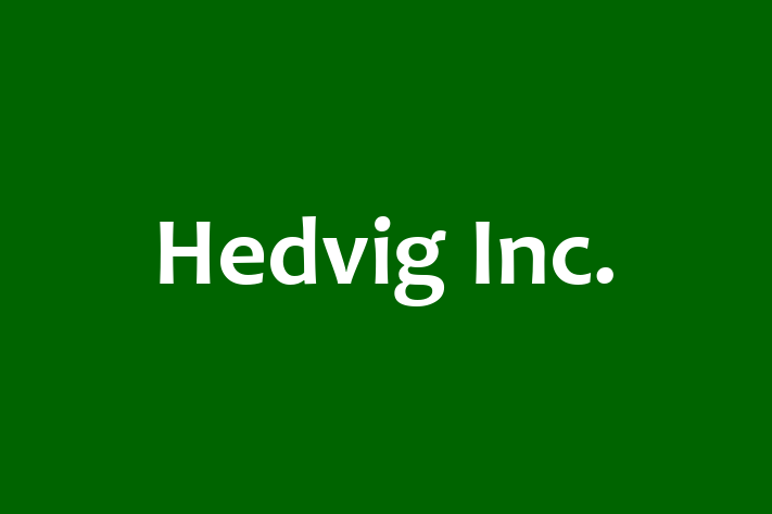 Software Solutions Provider Hedvig Inc.