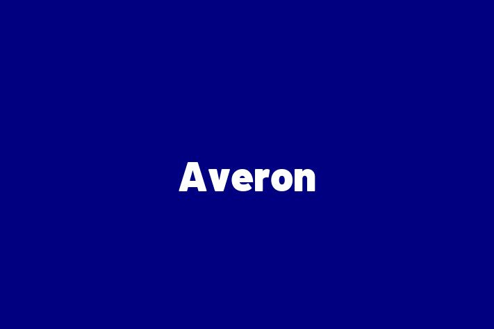 Software House Averon