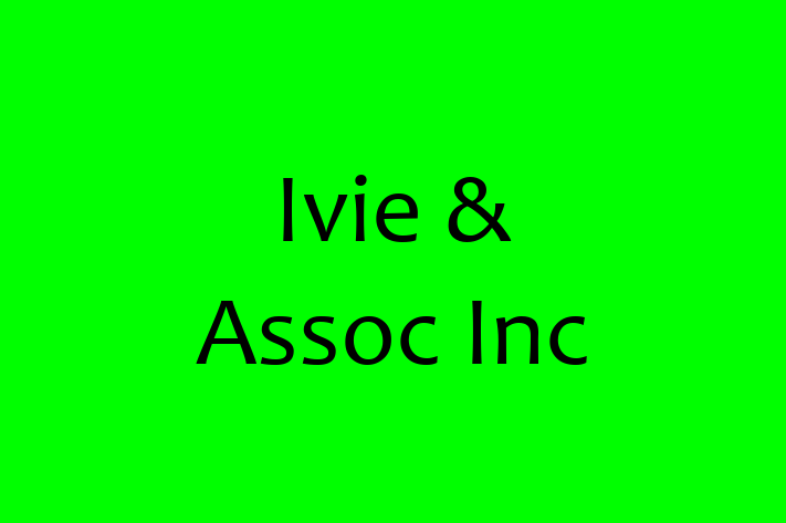 Software Consultancy Ivie Assoc Inc