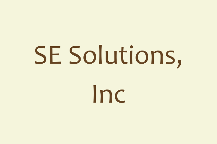 Software Services Company SE Solutions Inc